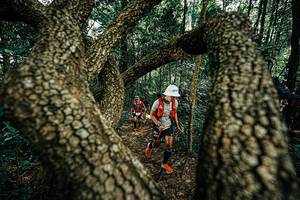 BIB: 
                            <button type="button" onclick="openModal(25392920)" class="btn btn-primary btn-sm float-right btn-popup" data-toggle="modal" data-target=".modal-high-quality">
                        <i class="fas fa-shopping-cart"></i> Add to Cart
                    </button>
                                            <button type="button" onclick="isThisMe(25392920, true)" class="btn btn-success btn-sm float-right btn-popup btn-isme hidden" data-toggle="tooltip" data-placement="bottom" title="นี่คือรูปของคุณใช่ไหม คลิกที่นี่เพื่อเอาเข้าอัลบั้ม">
                        <i class="fas fa-plus"></i> Add to album
                    </button>
                    <button type="button" onclick="isThisMe(25392920, false)" class="btn btn-warning btn-sm float-right btn-popup btn-isnotme hidden">
                        <i class="fas fa-ban"></i> Remove from album
                    </button>